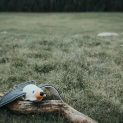 Hunter Hondenspeelgoed Canvas Sea Gull 9 Hunter Hondenspeelgoed Canvas Sea Gull -Hond winkel image 6285