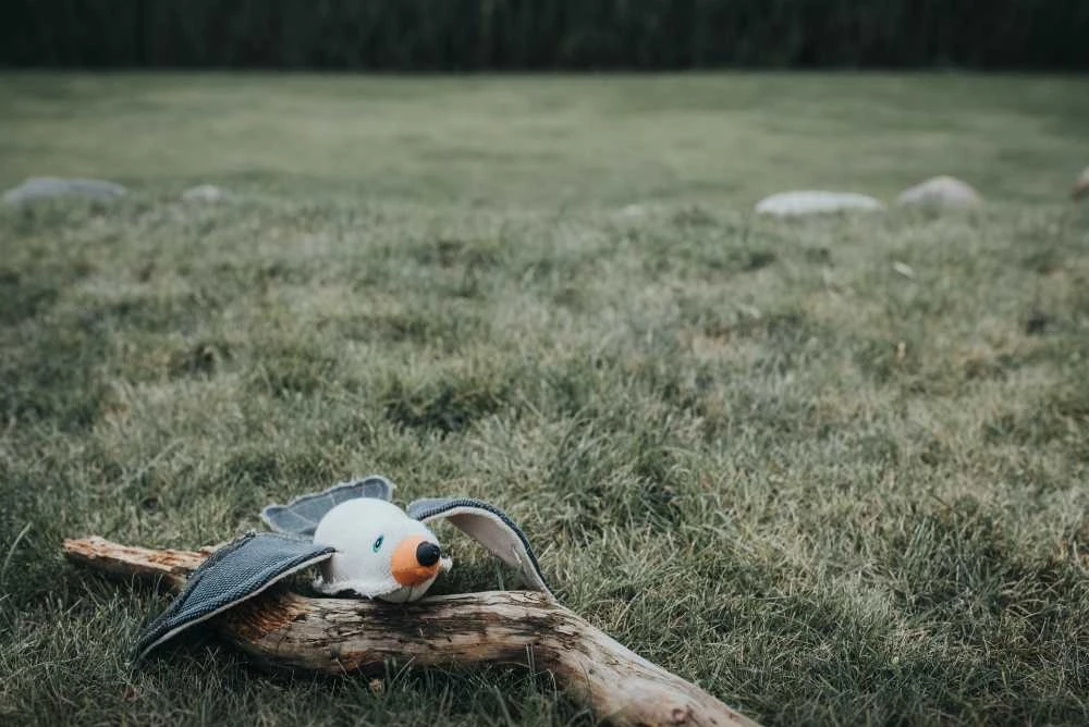 Hunter Hondenspeelgoed Canvas Sea Gull 6 Hunter Hondenspeelgoed Canvas Sea Gull - Afbeelding 4