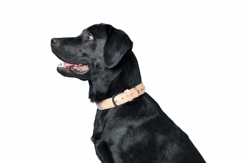 Hunter Hondenhalsband Trino 4 Hunter Hondenhalsband Trino - Afbeelding 2