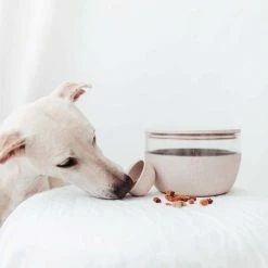 District70 Voorraadpot Treat Jar Merengue