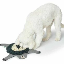 Hunter Gerecycled Hondenspeelgoed Billund -Hond winkel image 6311