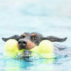 Kong Hondenspeelgoed Air Dog Bone -Hond winkel image 6329