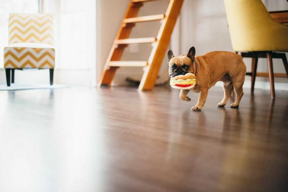 P.L.A.Y. Hondenspeelgoed International Classic - Taco 4 P.L.A.Y. Hondenspeelgoed International Classic - Taco - Afbeelding 2