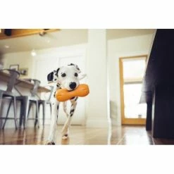 West Paw Design Hondenspeelgoed Zogoflex Qwizl Oranje -Hond winkel image 6337