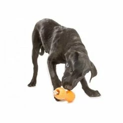 West Paw Design Hondenspeelgoed Zogoflex Qwizl Oranje -Hond winkel image 6338