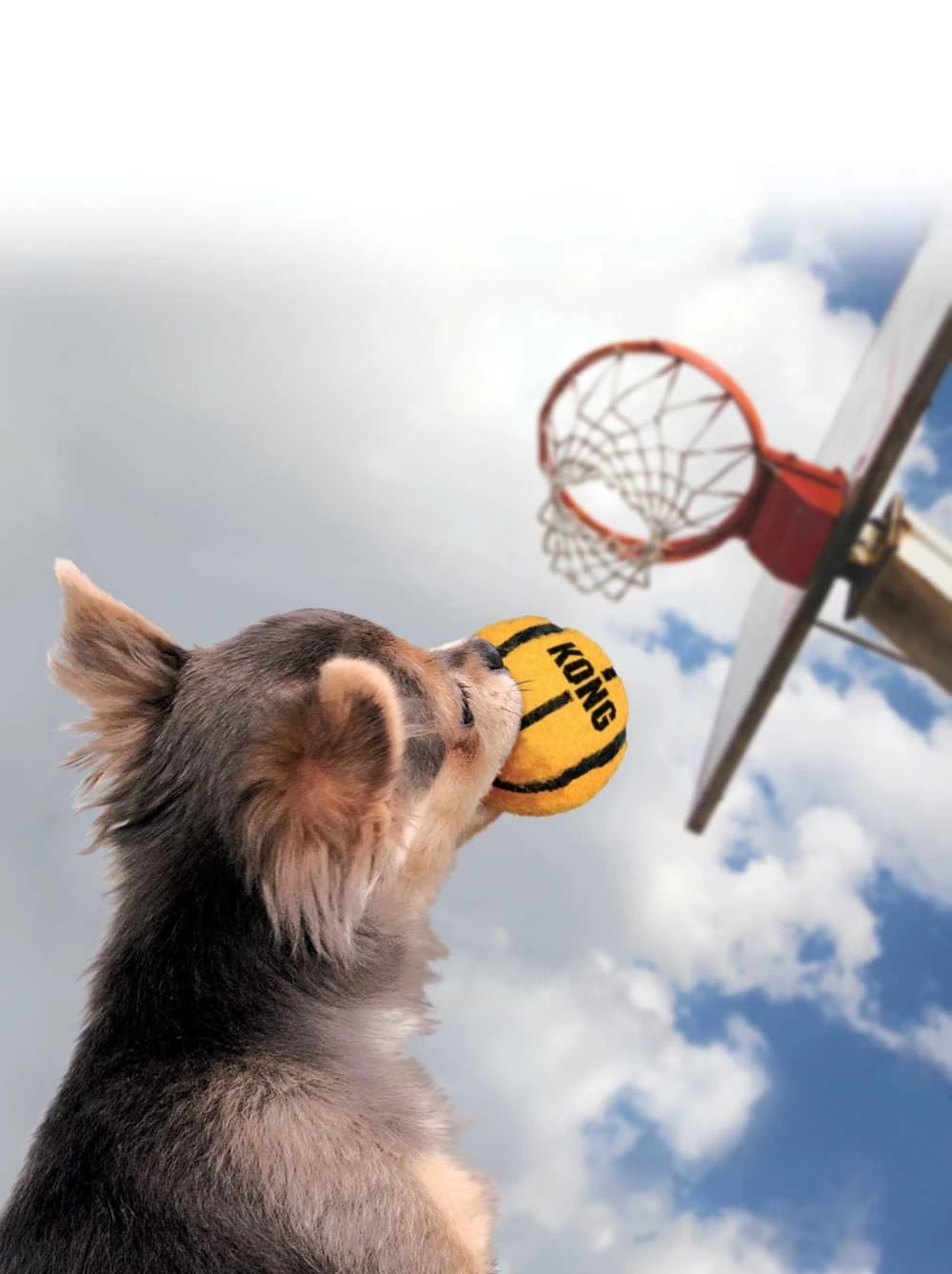 Kong Hondenspeelgoed Sport Balls 4 Kong Hondenspeelgoed Sport Balls - Afbeelding 2