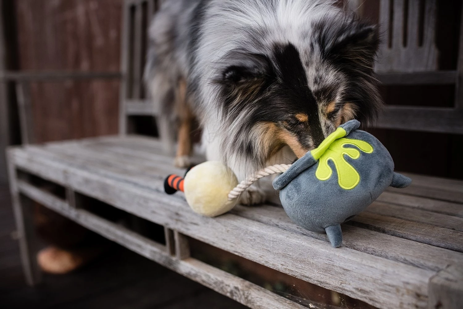 P.L.A.Y. Hondenspeelgoed Howling Haunts - Pup's Potion 4 P.L.A.Y. Hondenspeelgoed Howling Haunts - Pup's Potion - Afbeelding 2