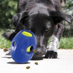 Kong Hondenspeelgoed Tikr