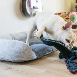 P.L.A.Y. Hondenspeelgoed Willow's Mythical - Dragon -Hond winkel image 6364