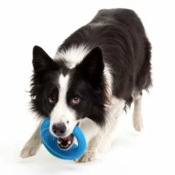 Rogz Hondenspeelgoed Pop Upz Blauw -Hond winkel image 6380