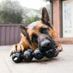 Kong Hondenspeelgoed Extreme Goodie Ribbon -Hond winkel image 6391