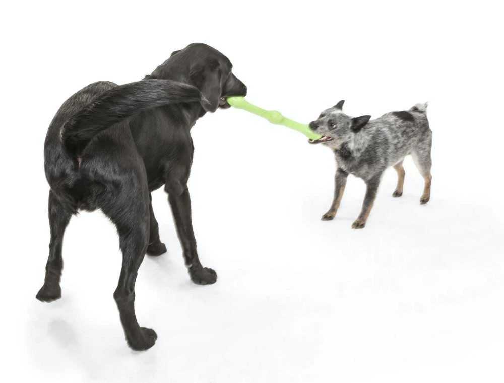 West Paw Design Hondenspeelgoed Echo Zwig Groen 4 West Paw Design Hondenspeelgoed Echo Zwig Groen - Afbeelding 2