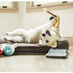 P.L.A.Y. Hondenspeelgoed Back To School - Calculator -Hond winkel image 6424