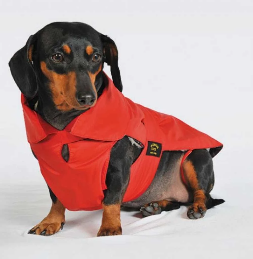 Fashion Dog Hondenjas Teckel Rood 3 Fashion Dog Hondenjas Teckel Rood