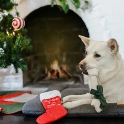 P.L.A.Y. Hondenspeelgoed Merry Woofmas - Good Dog Stocking 11 P.L.A.Y. Hondenspeelgoed Merry Woofmas - Good Dog Stocking -Hond winkel image 6477