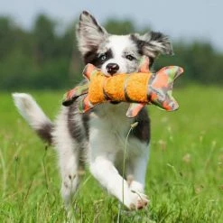 Major Dog Hondenspeelgoed Tiger