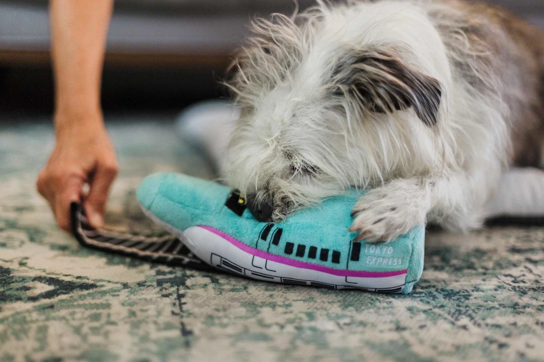 P.L.A.Y. Hondenspeelgoed Canine Commute - Barking Bullet Train 4 P.L.A.Y. Hondenspeelgoed Canine Commute - Barking Bullet Train - Afbeelding 2