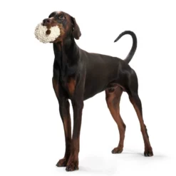 Hunter Hondenspeelgoed Snugly -Hond winkel image 6523