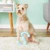 West Paw Design Hondenspeelgoed Zogoflex Bumi Aqua -Hond winkel image 6558