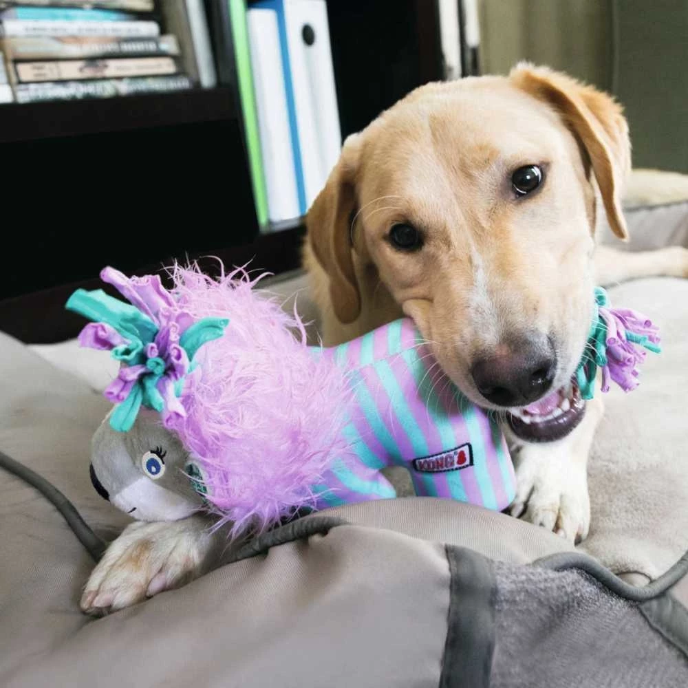 Kong Hondenspeelgoed Carnival Knots 4 Kong Hondenspeelgoed Carnival Knots - Afbeelding 2