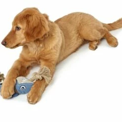 Hunter Hondenspeelgoed Canvas Sansibar -Hond winkel image 6607