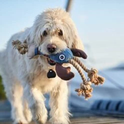 Hunter Hondenspeelgoed Canvas Sansibar -Hond winkel image 6608