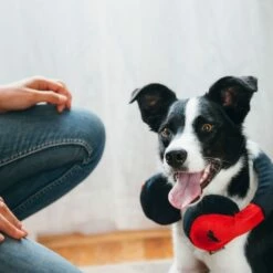 P.L.A.Y. Hondenspeelgoed Earphones -Hond winkel image 6614