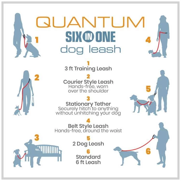 Kurgo Hondenriem Quantum 6-in-1 Blauw 5 Kurgo Hondenriem Quantum 6-in-1 Blauw - Afbeelding 3