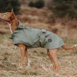Hunter Regenjas Hond Milford Groen -Hond winkel image 670