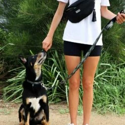 DOOG Heuptas Neosport Navy 9 DOOG Heuptas Neosport Navy -Hond winkel image 6734