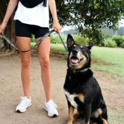 DOOG Heuptas Neosport Navy 10 DOOG Heuptas Neosport Navy -Hond winkel image 6735