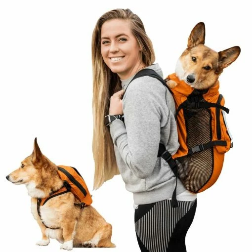 K9 Sport Sack Multifunctionele Hondenrugzak Walk On Oranje -Hond winkel image 6737