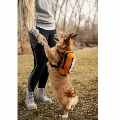 K9 Sport Sack Multifunctionele Hondenrugzak Walk On Oranje -Hond winkel image 6742
