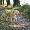 Hunter Veiligheidsvest -Hond winkel image 6752