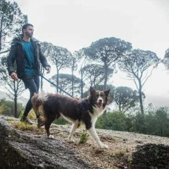 Rogz Hondenriem Handsfree Airtech Sport Grijs -Hond winkel image 6758