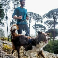 Rogz Hondenriem Handsfree Airtech Sport Grijs -Hond winkel image 6759