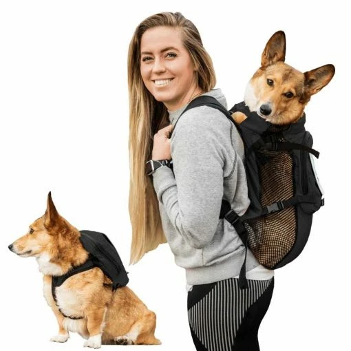 K9 Sport Sack Multifunctionele Hondenrugzak Walk On Zwart -Hond winkel image 6762