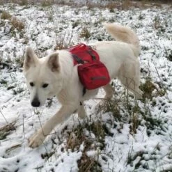 Kurgo Hondenrugzak Baxter 10 Kurgo Hondenrugzak Baxter -Hond winkel image 6774