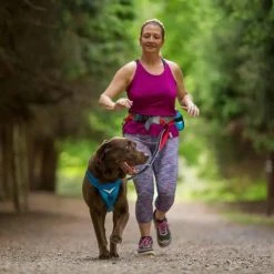 Kurgo Hondenriem Springback -Hond winkel image 6785