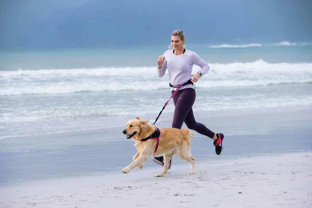 Rogz Hondenriem Handsfree Airtech Sport Roze 4 Rogz Hondenriem Handsfree Airtech Sport Roze - Afbeelding 2