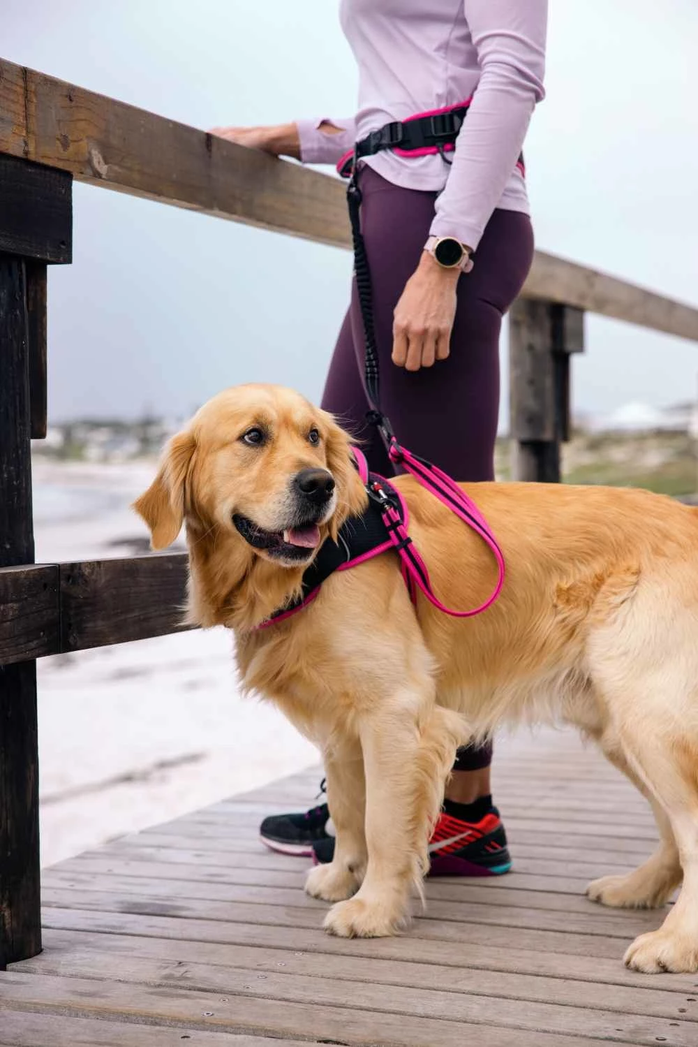 Rogz Hondenriem Handsfree Airtech Sport Roze 7 Rogz Hondenriem Handsfree Airtech Sport Roze - Afbeelding 5