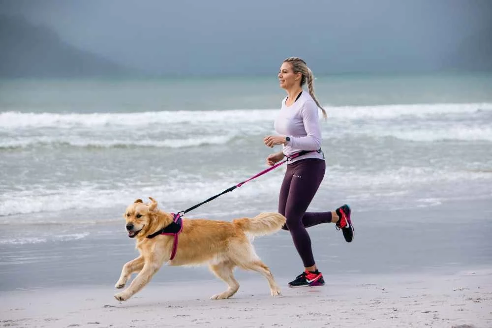 Rogz Hondenriem Handsfree Airtech Sport Roze 8 Rogz Hondenriem Handsfree Airtech Sport Roze - Afbeelding 6