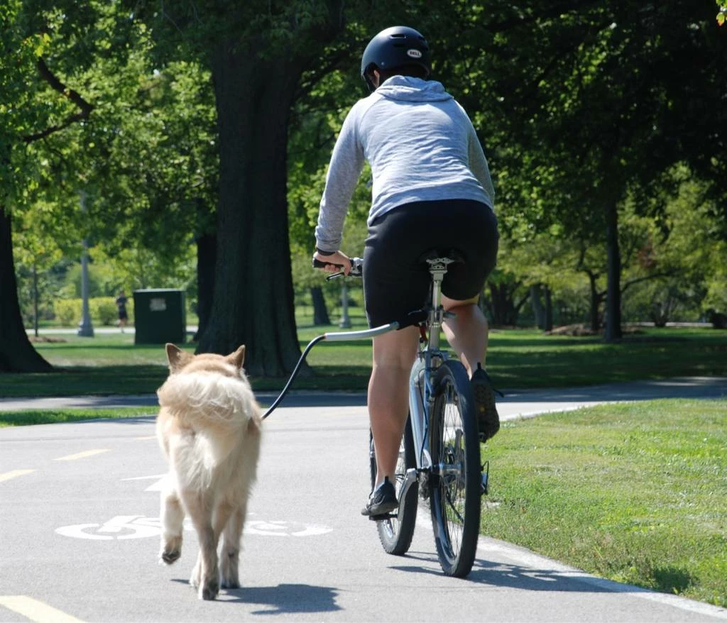 Petego Fiets Aanlijnriem Cycleash 4 Petego Fiets Aanlijnriem Cycleash - Afbeelding 2