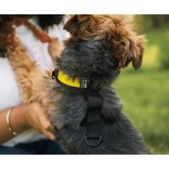 K9 Sport Sack Multifunctionele Hondenrugzak Walk On Geel -Hond winkel image 6860