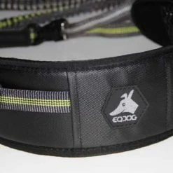 Hond winkel -Hond winkel image 6877