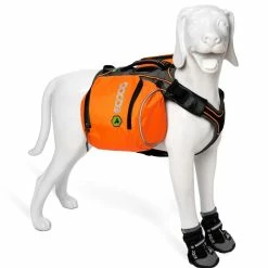 EQDOG Hondentuig Pro Harness Oranje -Hond winkel image 6887