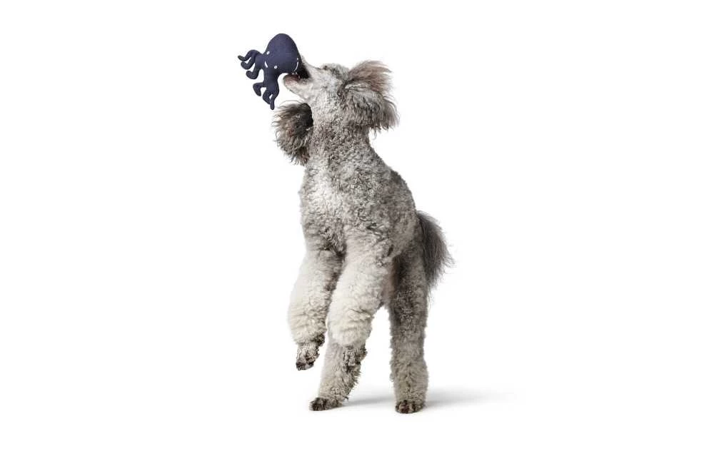 Hunter Hondenspeelgoed Skagen 9 Hunter Hondenspeelgoed Skagen - Afbeelding 7