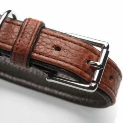 Hunter Hondenhalsband Cody Cognac 16 Hunter Hondenhalsband Cody Cognac -Hond winkel image 752
