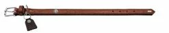Hunter Hondenhalsband Cody Cognac 17 Hunter Hondenhalsband Cody Cognac -Hond winkel image 753