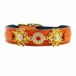 Hartman And Rose Hondenhalsband Daisy Oranje